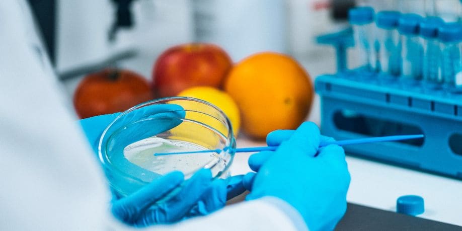 Imagen del artículo INACAL acredita a organismos de certificación de productos orgánicos